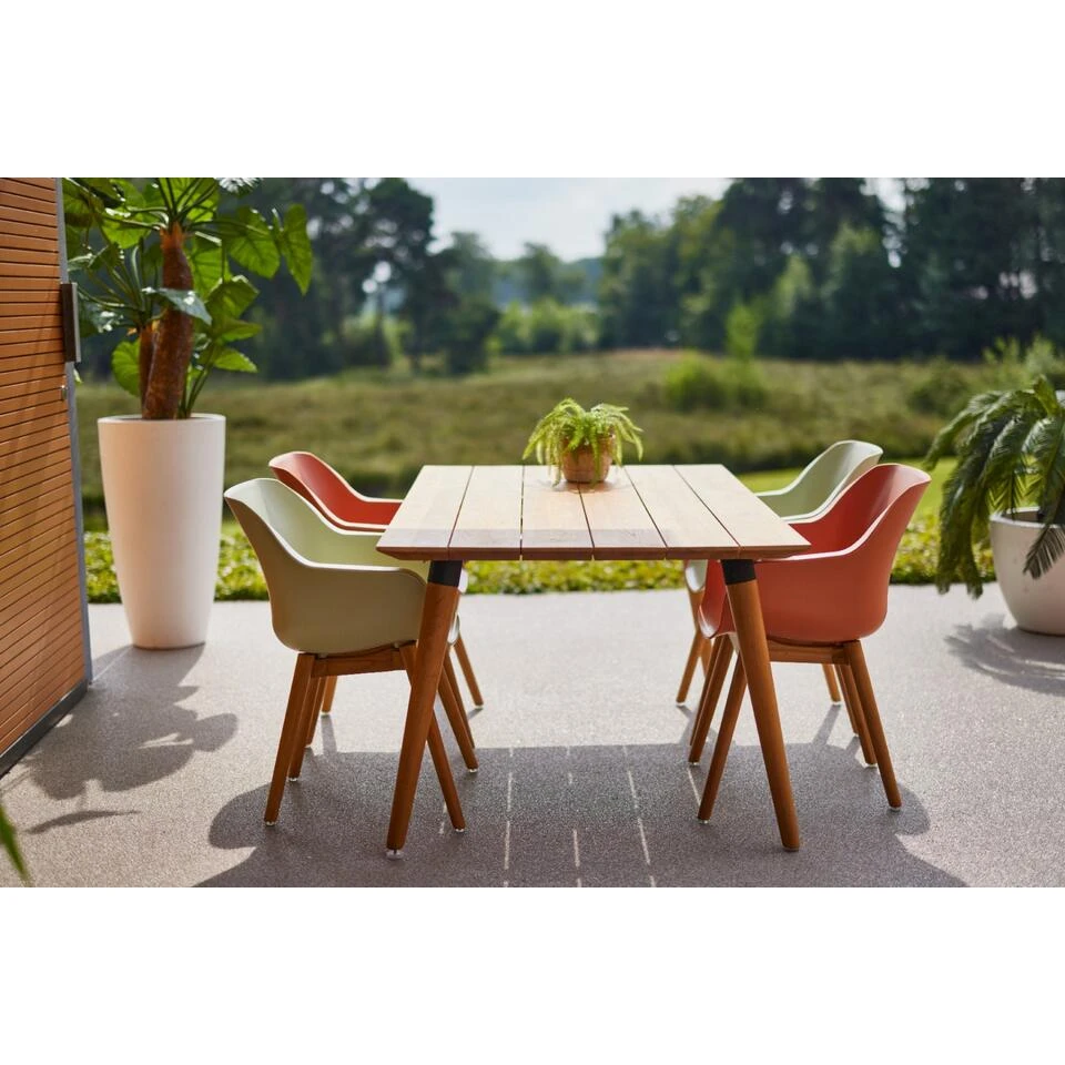 Set Van 2- Hartman Sophie Studio Diningstoel- French Green- Teak Poot 4 Set Van 2- Hartman Sophie Studio Diningstoel- French Green- Teak Poot - Afbeelding 4