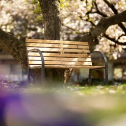 Tectake - Tuinbank - 123x 64x 82 Cm - Hout -Leenbakker Winkel 1000078026 0102