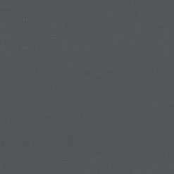 VidaXL - Tuinbank - Zwart - Grenenhout -Leenbakker Winkel 240623deb20a49ab84d792ad0e5b8096