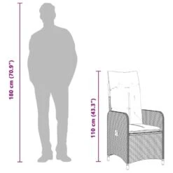 VidaXL - Tuinstoel Verstelbaar Met Kussens - Zwart - Poly Rattan -Leenbakker Winkel 4a8158875a434cee9e38a017dc50a464