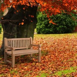 CLP Teakbank Teakbank 120 Cm Mit Abdeckhaube 120 Cm -Leenbakker Winkel 5a9f3ca4983f4b24939128a99a073052