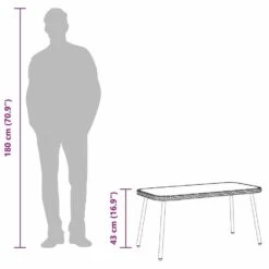 VidaXL - Salontafel - Zwart - Poly Rattan - 90 X 45 X 43 Cm -Leenbakker Winkel 66fa0acec0684148b11ae296e862c577 1