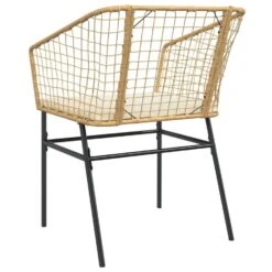 VidaXL - Tuinstoelen - Kussens - Bruin - Poly Rattan - 2 Stuks -Leenbakker Winkel 786b46518bbd4da6aa16027708a7b443