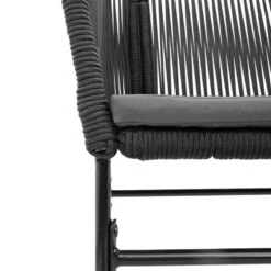 VidaXL - Tuinstoelen - Kussens - Zwart - Poly Rattan - 2 Stuks -Leenbakker Winkel b92139a1a5fb4624b51780fb1e516cd3