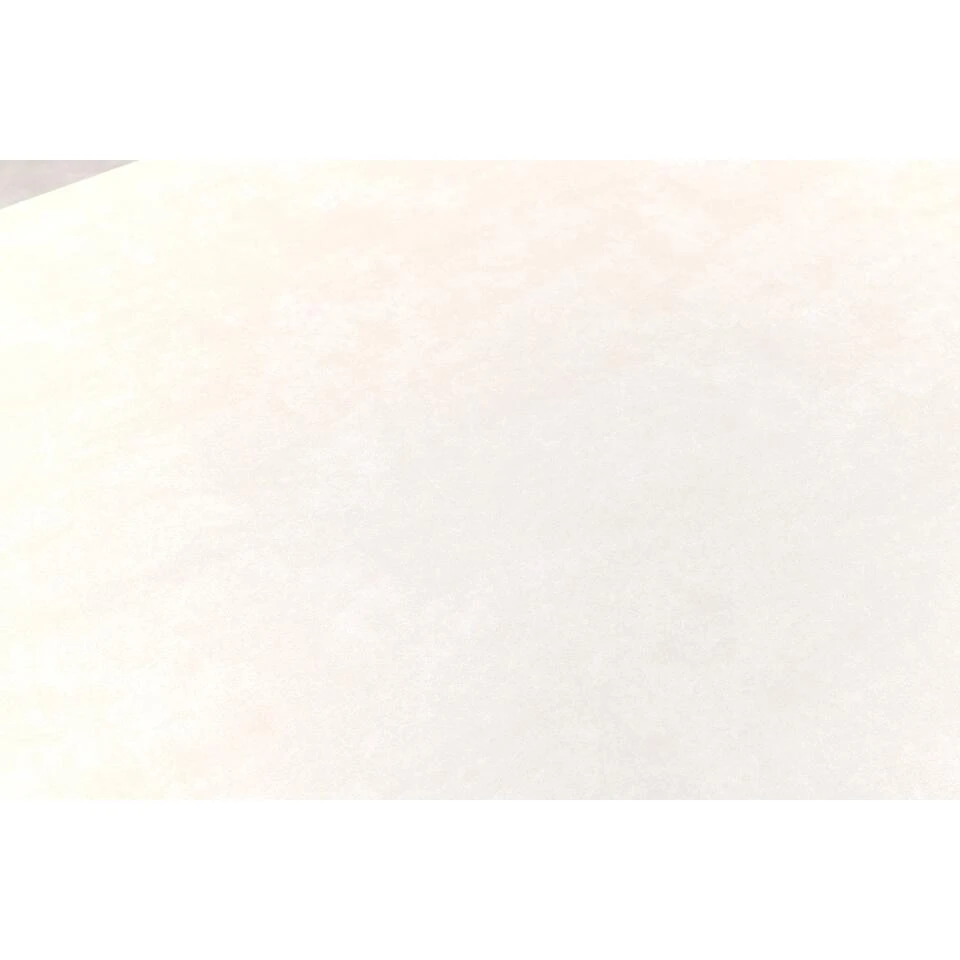 Taste Manolo Tuintafel 240x103 Cm. - Deens Ovaal - Latte 5 Taste Manolo Tuintafel 240x103 Cm. - Deens Ovaal - Latte - Afbeelding 5