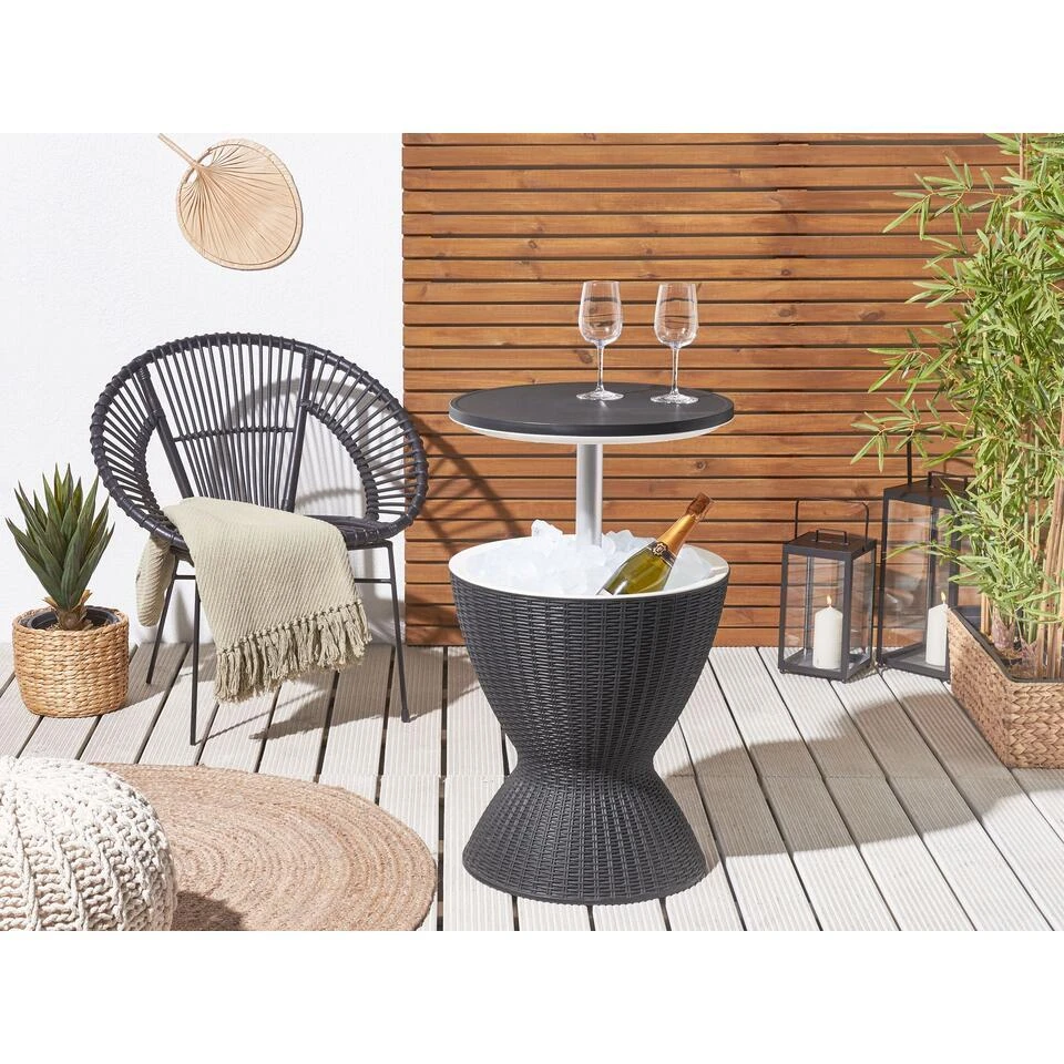 AISA - Koelbox - Zwart - Polypropyleen 2 AISA - Koelbox - Zwart - Polypropyleen - Afbeelding 2