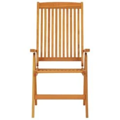 VidaXL - Tuinstoel - Bruin - Eucalyptushout - 2 Stuks - Inklapbaar -Leenbakker Winkel d72411e3d70045368e88f2e797885ba9